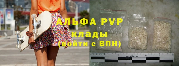 индика Михайловск