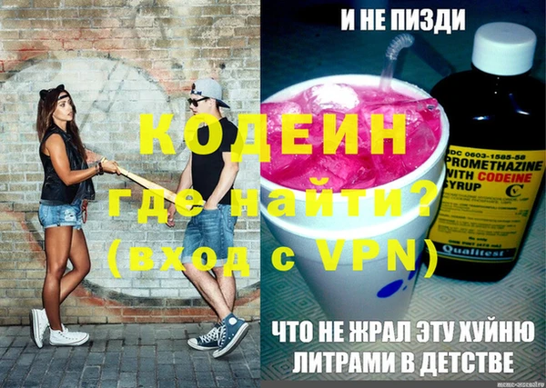индика Михайловск