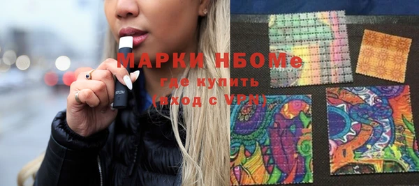 индика Михайловск