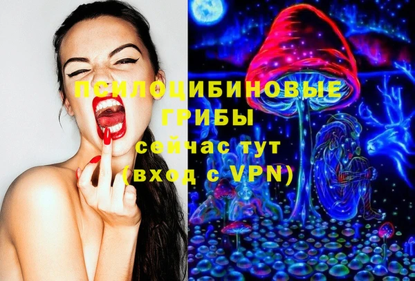 спайс Верея
