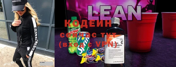 индика Бердск