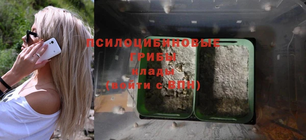 спайс Верея